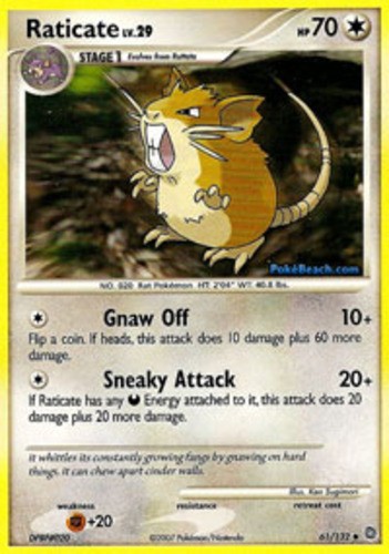 Raticate