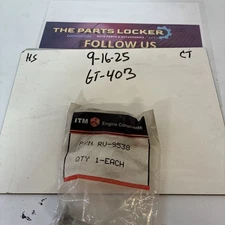 (1) Rv9538  ITM Engine Intake Valve, Genuine iTM, New Old Stock,