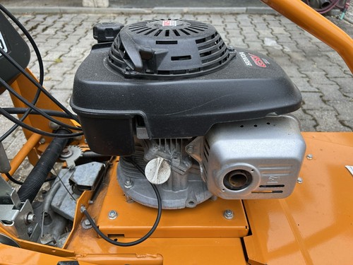 ASMotor Hochgrasmäher AS 65/4TH DS Enduro + Zubehör Wiesenmäher