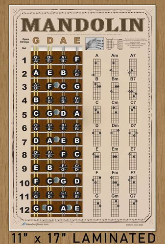 Laminated Mandolin Easy Chords Fretboard Wall Chart Poster Beginner Americana - Picture 2 of 6