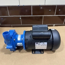 Finish Thompson Magnetic Pump DB10P-M218 WEG Motor 1HP 115/208-230V