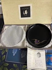 Echizen Urushi Black Lacquer Confectionery Plate Set of 5 14cm with Box
