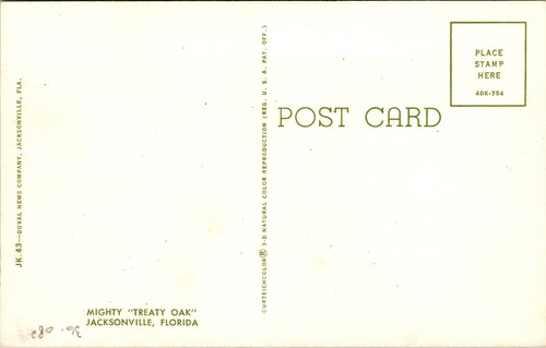Vtg Jacksonville Florida FL Mighty Treaty Oak Tree 1960s Chrome View Postcard - Picture 2 of 2