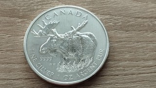 1 Unze Silber Silbermünze 999 9 Canada ELK Elch 2012