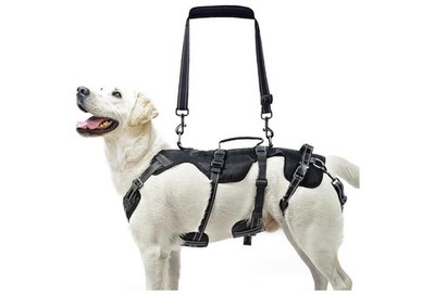 Dog Lift Harness Medium Mobility Sling w Handles Disabled Assist Black PUPTECK