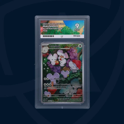 Maushold 226/193 Illustration Rare Paldea Evolved 2023 - Ace 9
