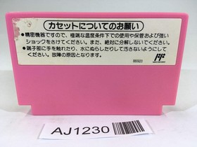 AJ1230 Super Mario USA NES Famicom Japan