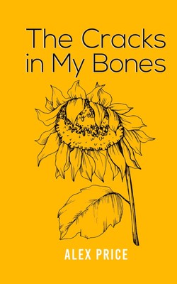 Alex Price | The Cracks in My Bones | Buch | Englisch (2023) | Austin Macauley