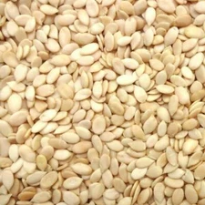 Organic Raw Watermelon Seeds For Eating Indian Magaj Tarbooj Magaj Seed