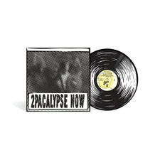 2PAC | 2Pacalypse Now x Joshua Vides | SEALED 2023 Picture Disc Vinyl