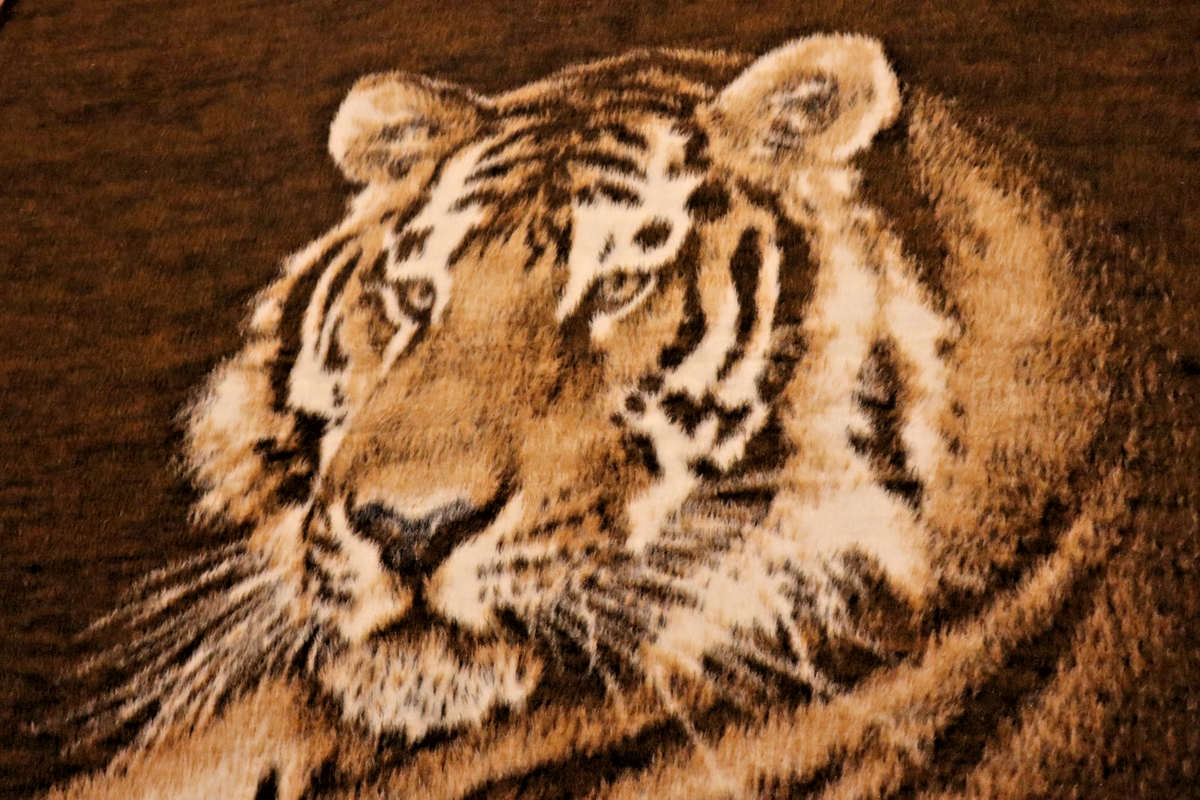 s-l1200.png