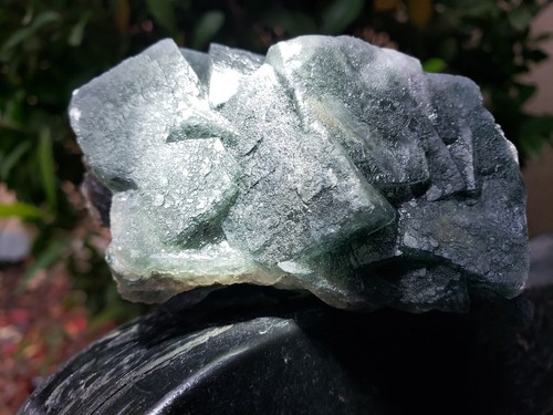 Dark Green Cubic FLUORITE Crystal Cluster Mineral Specimen Natural, 228g - Picture 12 of 14