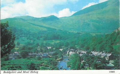 11553 - Ak zeigt Beddgelert und Moel Hebog