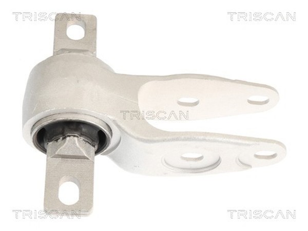 Triscan Motorlager 8505 81100 FüR Tesla Model 100D AWD 60D 70D 75D 85D 90D P100D-image