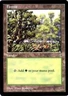 Damaged, English MTG Regular Forest - Oversized Magic Oversized Promos (6x9) Mag