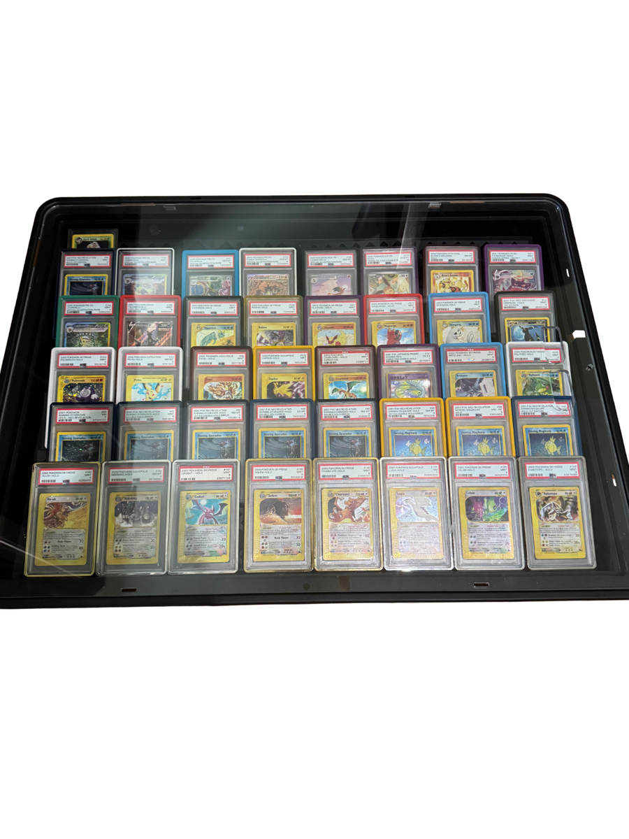 Display Case Card Riser Stands - Perfect for Zion Case - 24 Risers! SHIPS  FAST! | eBay