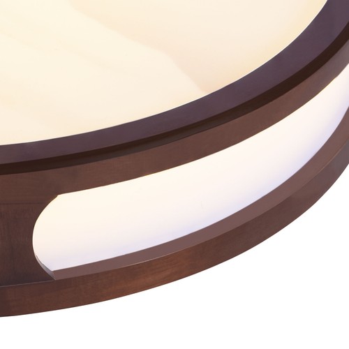 20.47" LED Deckenleuchte Wohnzimmer Flur Küchen Eingang Deckenleuchte Lampe DHL - Bild 20 von 24