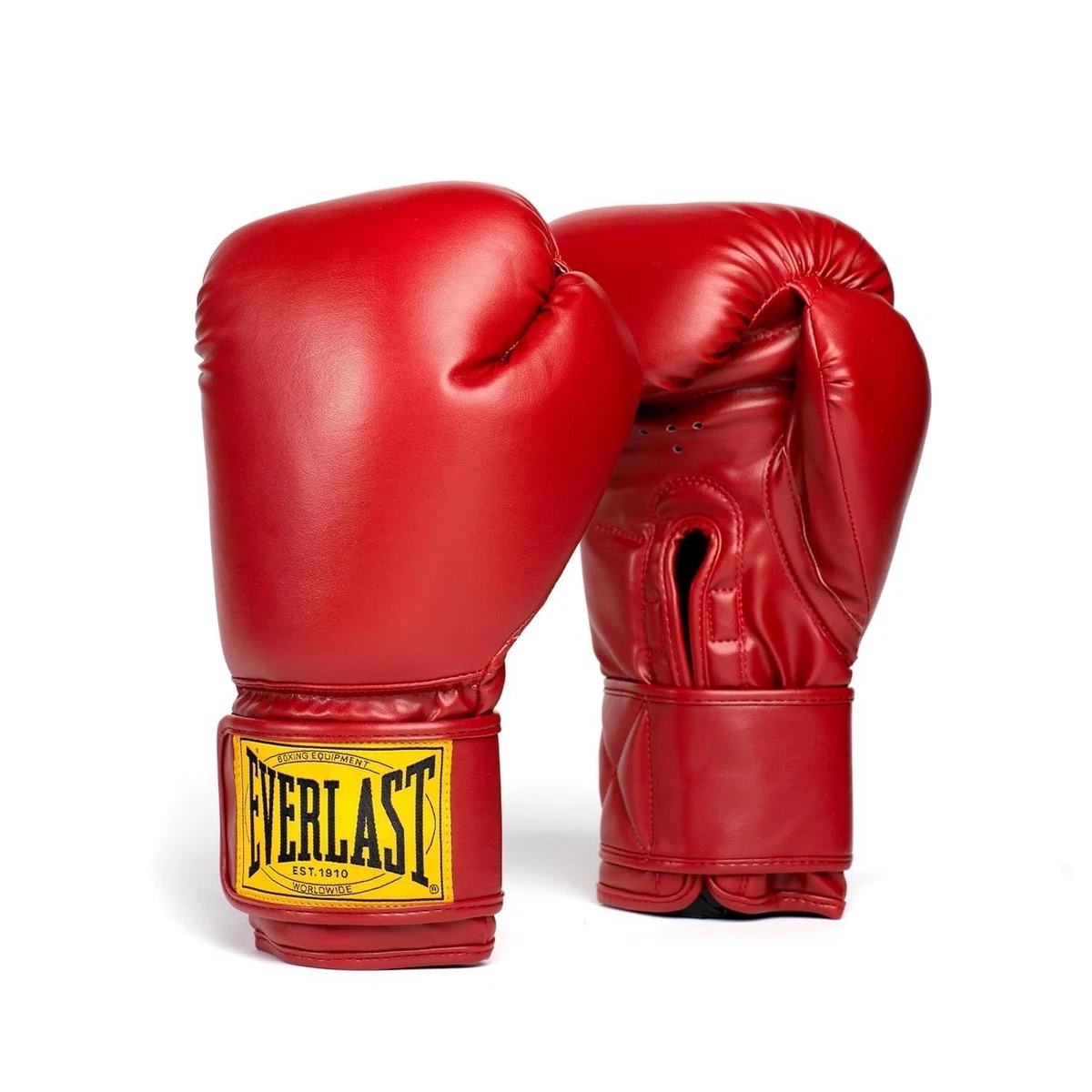 Everlast 10 oz. Weight Boxing Gloves for sale | eBay