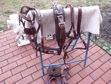 1-spänner Brustblattgeschirr Gr. Mini-Shetty mit Quick Relaise ,braun