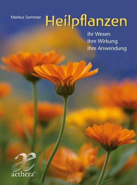 Thumbnail - Heilpflanzen | Buch | 9783825180010