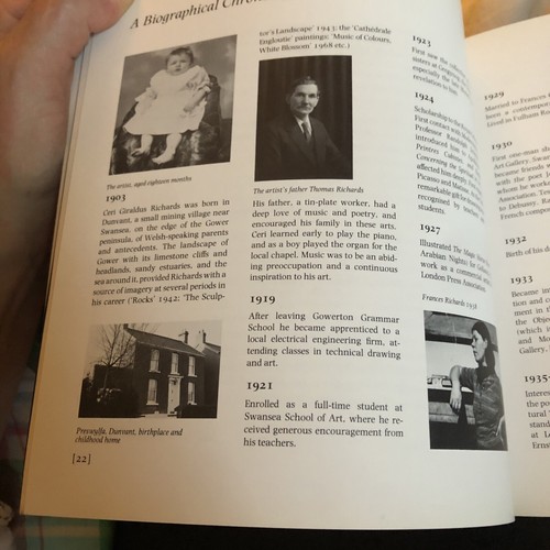 Vintage Ceri Richards EXHIBITION CATALOG RETROSPECTIVE 1981 Tate Gallery art - Picture 8 of 13