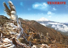 Spain CANARIAS TERIFE LE TEIDE
