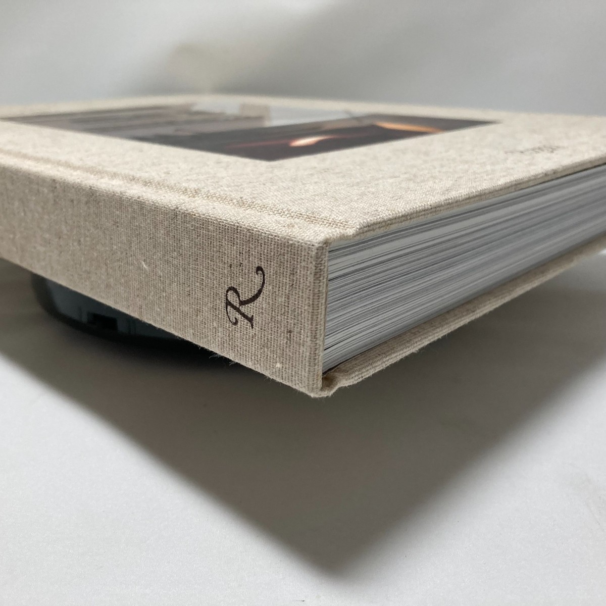 Aesop the book Hard Cover Rizzoli Jennifer Down Dennis