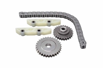 BorgWarner 59007150004 Steuerkettensatz für FIAT