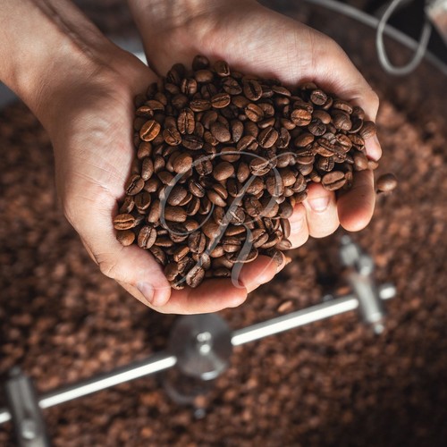 10 lbs of AUTHENTIC Jamaica Blue Mountain Coffee - Free Shipping! - Picture 8 of 11