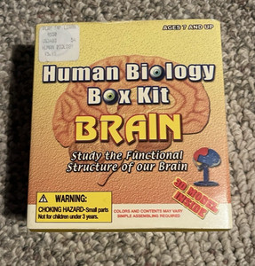  Amazing Human Biology Puzzle 3D Model Brain Very Nice Item