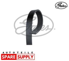 KEILRIPPENRIEMEN FÜR ALFA ROMEO CHEVROLET FIAT GATES 6PK1320