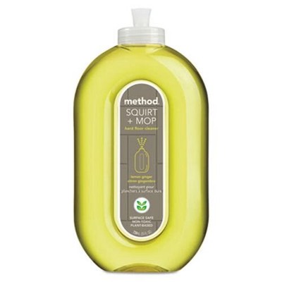 mop that squirts water