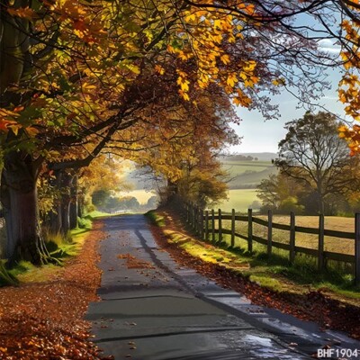 10'x10'Computer-painted Tree-lined Path Scenic Vinyl Background Backdrop BHF1904