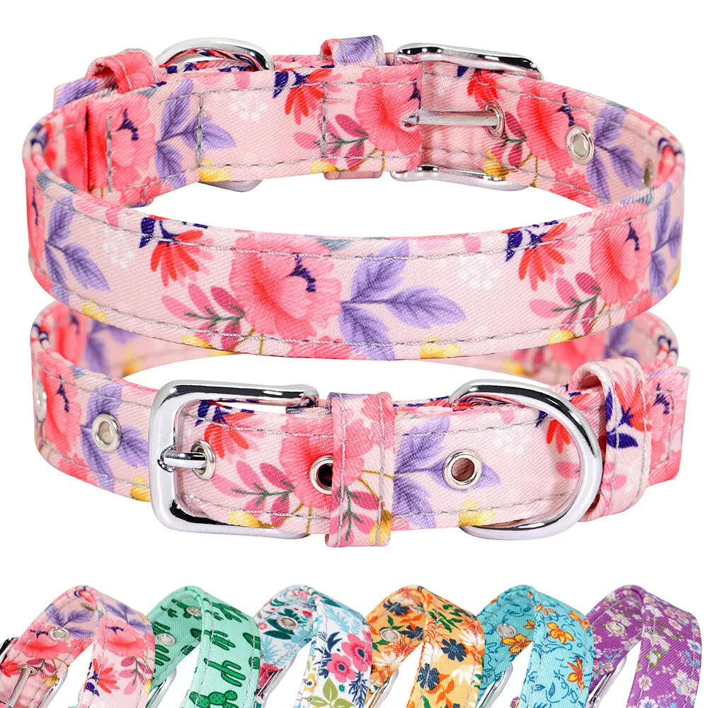 Fancy dog sale accessories