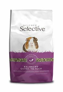 guinea pig food 10kg