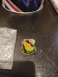 Desert Storm Pin New