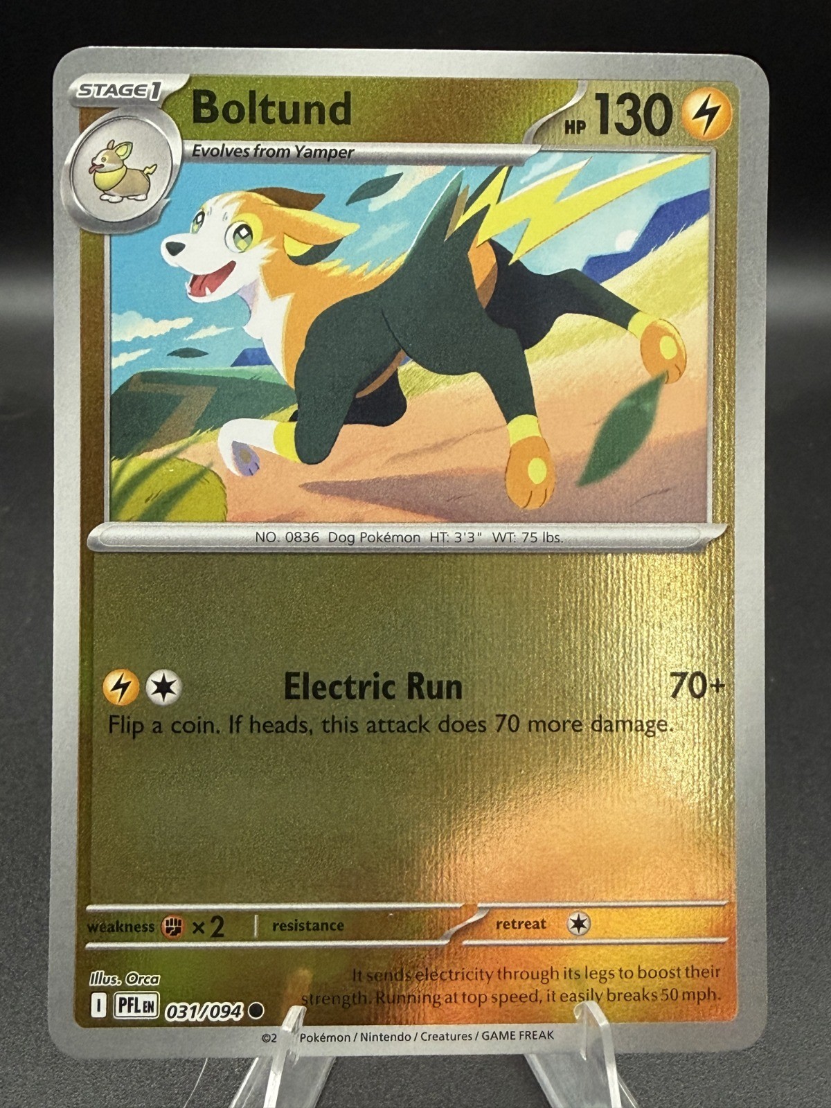 Boltund 031/094 ME02: Phantasmal Flames Reverse Holo- Pokemon TCG- NM