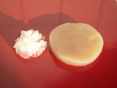 Kontrollierter Lebensmittelbetrieb: Kombucha Teepilz  + Wasserkefir Kefir Pilz