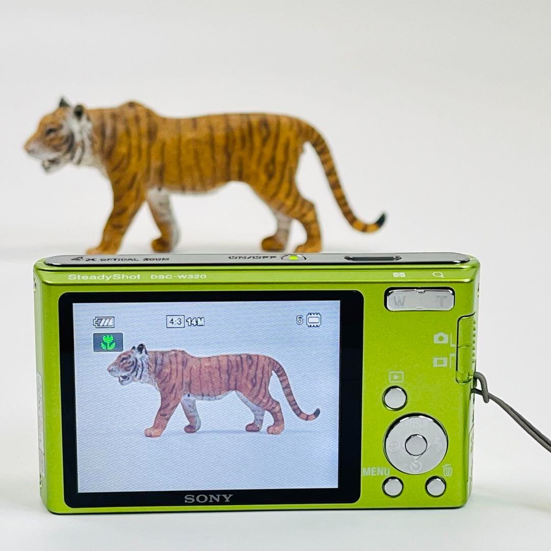 SONY Cyber-shot DSC-W320 Compact Digital Camera 3x Optical