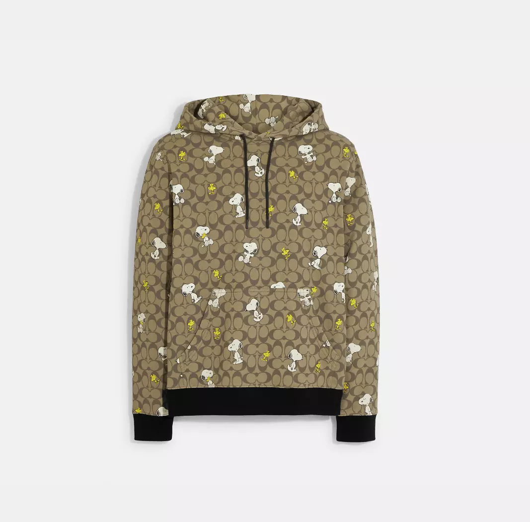 Coach hoodie mens 2025