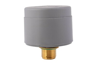 Rowenta Stecker Sicherheit Dichtung Eisen Boiler DG5030 DG5035 Pro Master