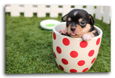 Canvas/Frames Small puppy in cup animal pictures cute dog baby dog