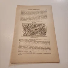 Map Dieuze Chateau Salins Pond Of Indre France c. 1883 Engraving (283)