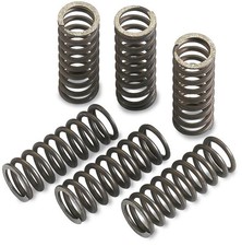 Moose Racing MHDS102-4 Clutch Springs