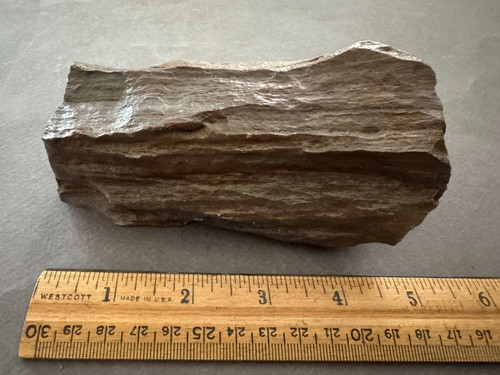 TAN/GRAY RESIN FEEL PETRIFIED WOOD PIECE 5"