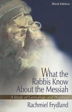 What the Rabbis Know about the Mess..., rachmiel-frydla
