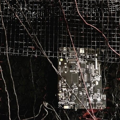 Merzbow / Prurient - Black Crows Cyborg - Vinyl