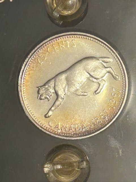Picture 5 of 13
