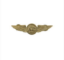 GENUINE U.S. BADGE: AIR CREW - MINIATURE, MIRROR FINISH