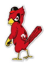 St. Louis Cardinals MLB Weather Resistant Vinyl Die Cut Sticker Decal 15